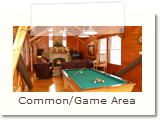 Common/Game Area